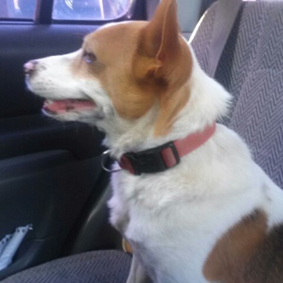 Meet your Posher, Martina - Picture 1 of 1